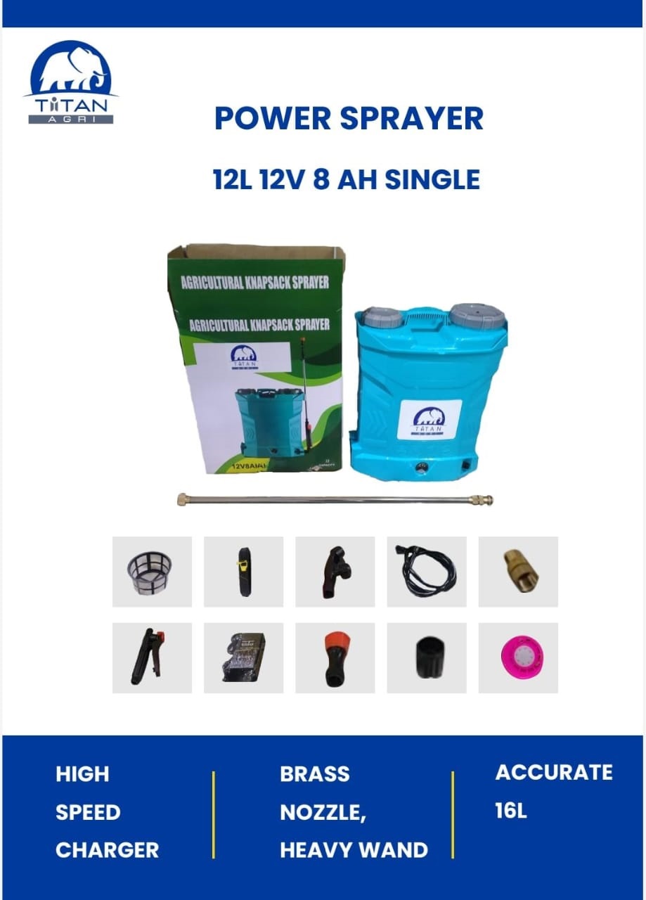 collection-image