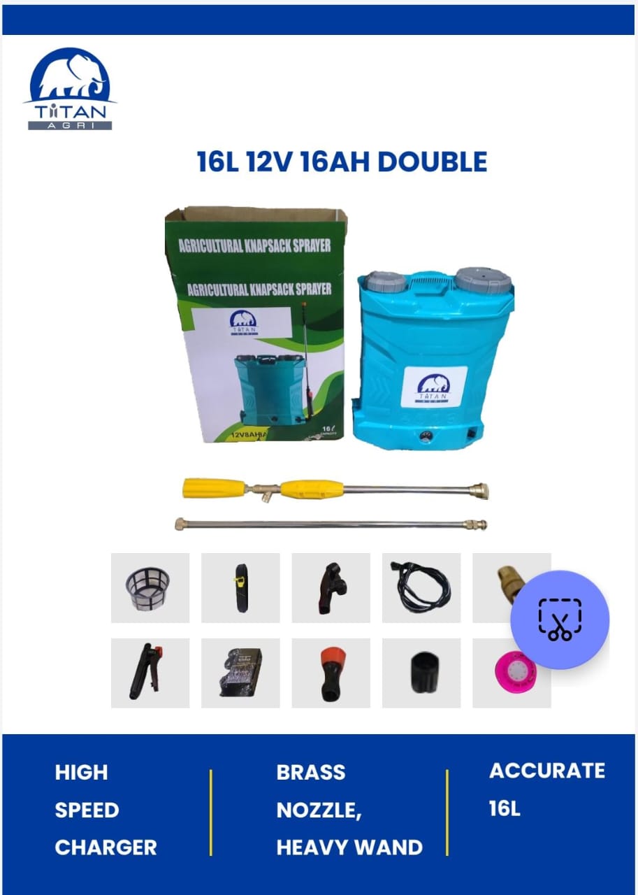 collection-image